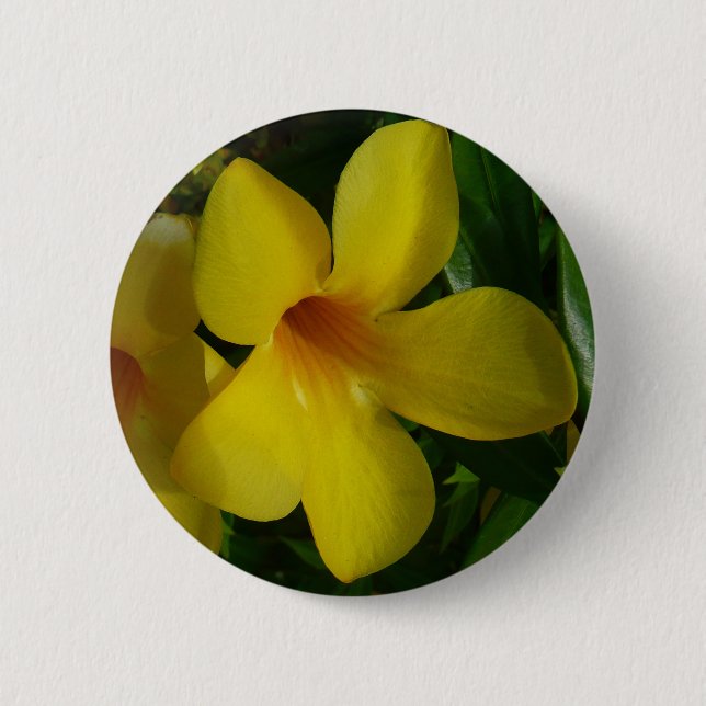Golden Trumpet Flowers II Tropical 6 Cm Round Badge (Front)