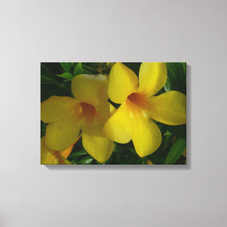 Golden Trumpet Flowers II Tropical Canvas Print