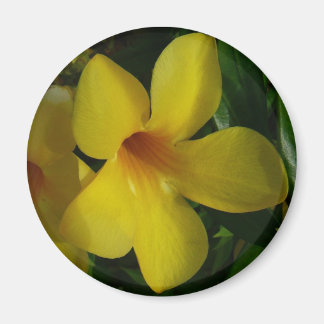 Golden Trumpet Flowers II Tropical Magnet