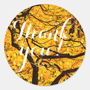 Golden Veins Of Autumn Classic Round Sticker