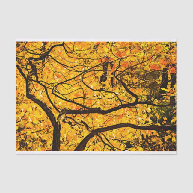 Golden Veins Of Autumn Tissue Paper (Front)