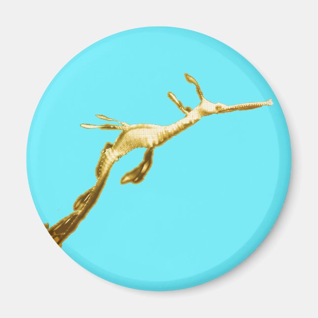 Golden Weedy Sea Dragon Magnet (Front)