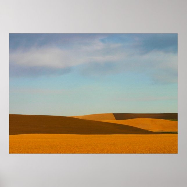 Golden Wheat Fields in Palouse Region Poster (Front)
