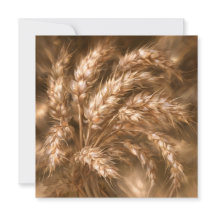 Golden Wheat