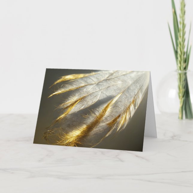 Golden white feathers  card (Front)