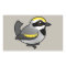 Golden-winged Warbler