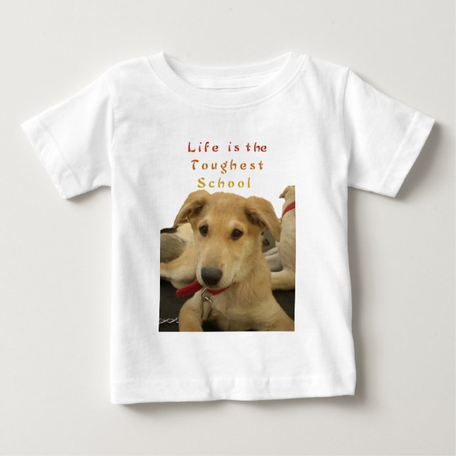 Golden Wisdom: A Dog's-Eye View of Life's School Baby T-Shirt (Front)