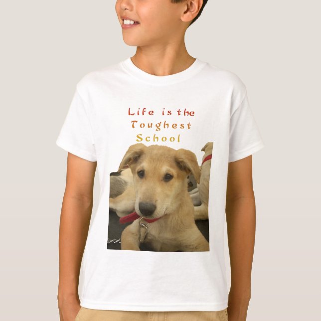 Golden Wisdom: A Dog's-Eye View of Life's School T-Shirt (Front)