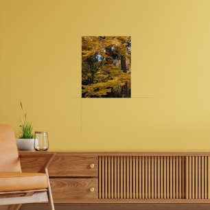 Golden Yellow Japanese Maple Leaves Botanical Poster