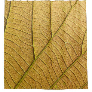 Golden yellow leaf pattern in the morning.  shower curtain