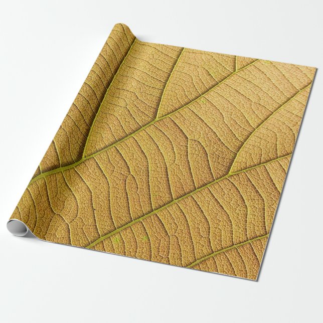 Golden yellow leaf pattern in the morning.  wrapping paper (Unrolled)