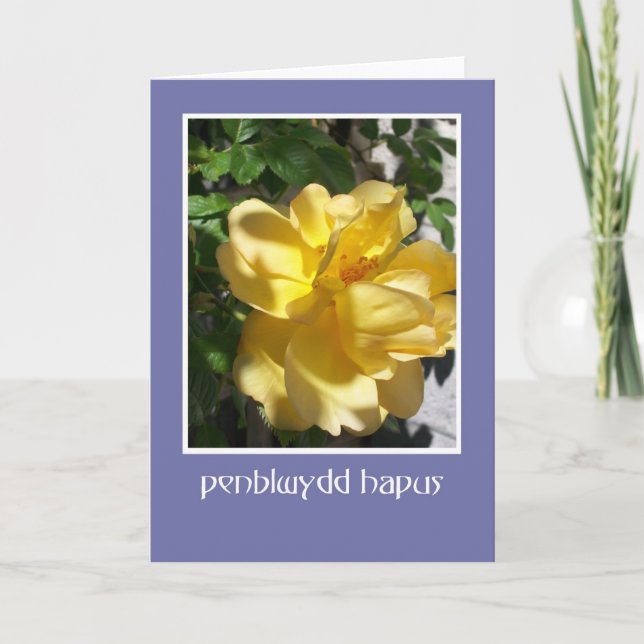 Golden Yellow Rose Birthday Card, Welsh Greeting Card (Front)