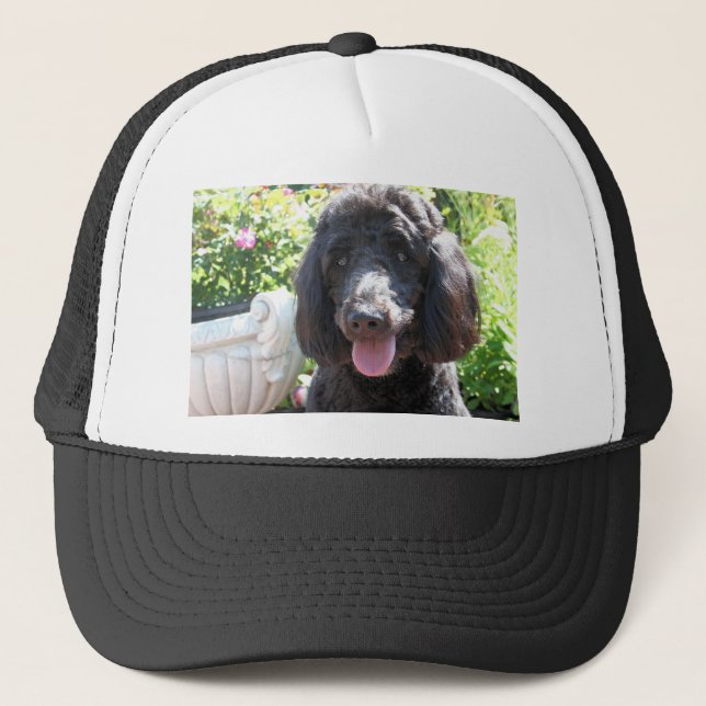 GoldenDoodle Abby 1 Trucker Hat (Front)
