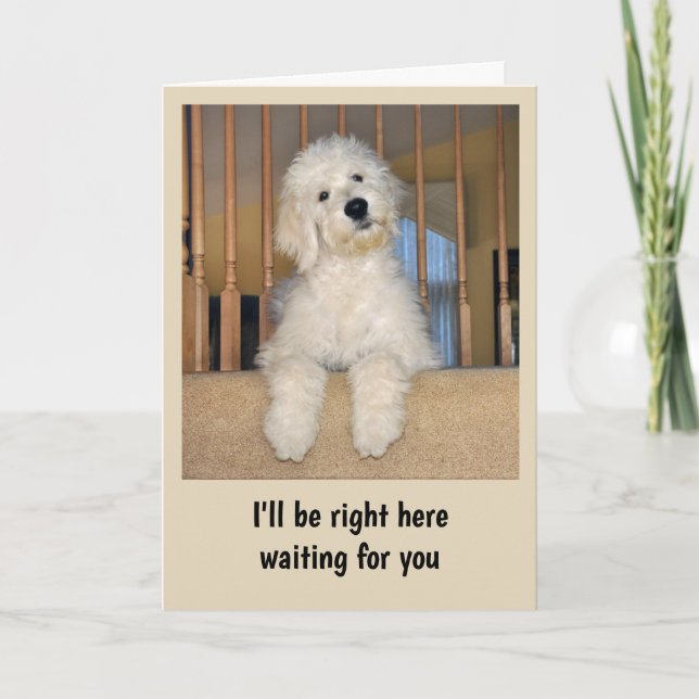 Goldendoodle any occasion card (Front)