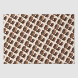 Goldendoodle Brothers Tissue Paper