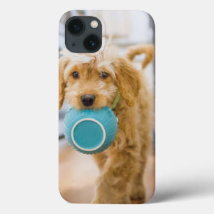 Goldendoodle Carrying Dinner Bowl iPhone 13 Case