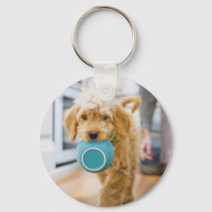 Goldendoodle Carrying Dinner Bowl Key Ring