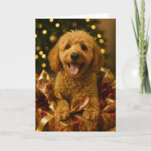Goldendoodle Christmas Card