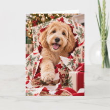 Goldendoodle Christmas Card