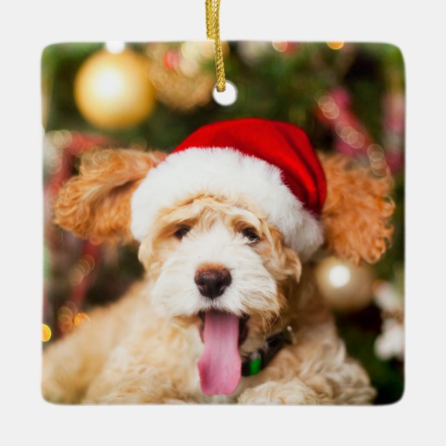 Goldendoodle Christmas Ornament Stone (Front)