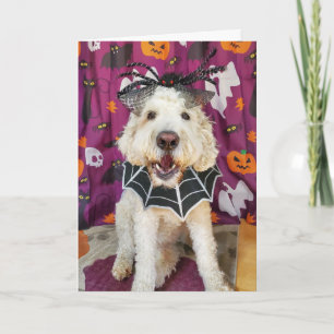Goldendoodle dog Halloween Card