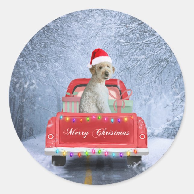 Goldendoodle Dog in Snow sitting in Christmas Classic Round Sticker (Front)