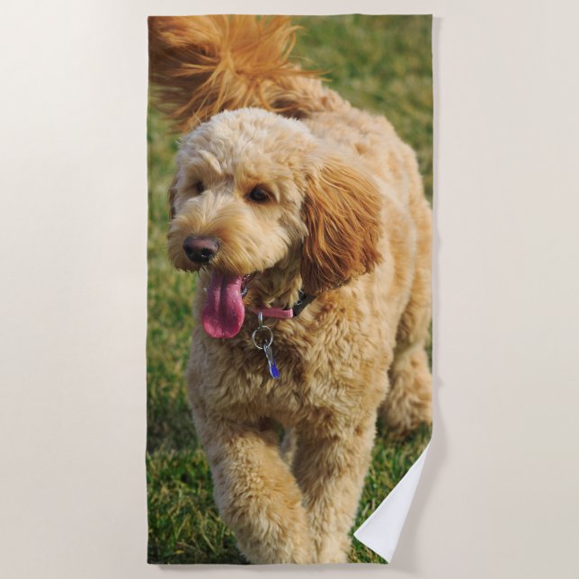 Goldendoodle Dog Photo Beach Towel (Front)