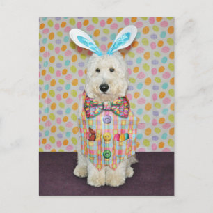 Goldendoodle Easter card