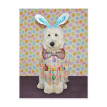 Goldendoodle Easter postcard