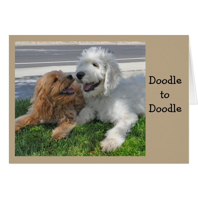 Goldendoodle friends (Front Horizontal)