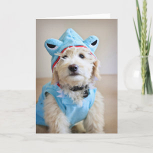 Goldendoodle In Shark Usuume Card