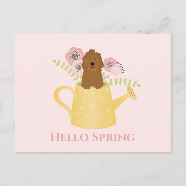 Goldendoodle In Watering Can Postcard (Front)