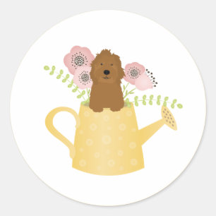 Goldendoodle In Watering Can Yellow Classic Round Sticker