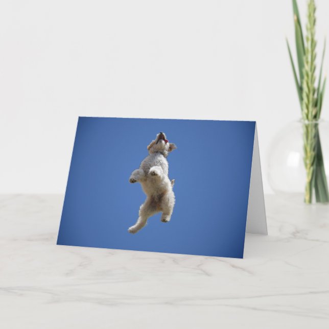 Goldendoodle Jumping Greeting Card (Front)