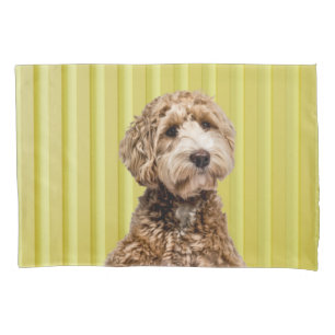 Goldendoodle Laying on Bright Yellow Podium Pillowcase