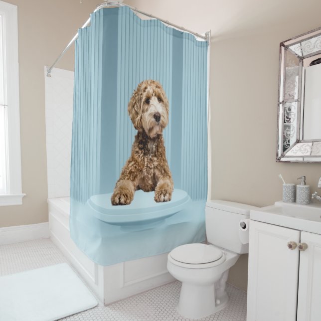 Goldendoodle Laying on Minimal Pastel Blue Podium Shower Curtain (In Situ)