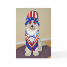 Goldendoodle patriotic card