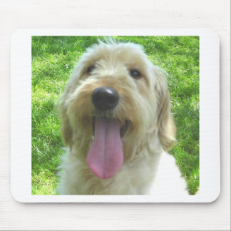 Goldendoodle Products Mouse Pad