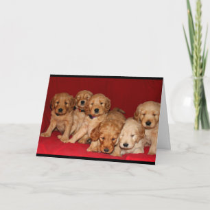 Goldendoodle Puppies Thinking Of You Card
