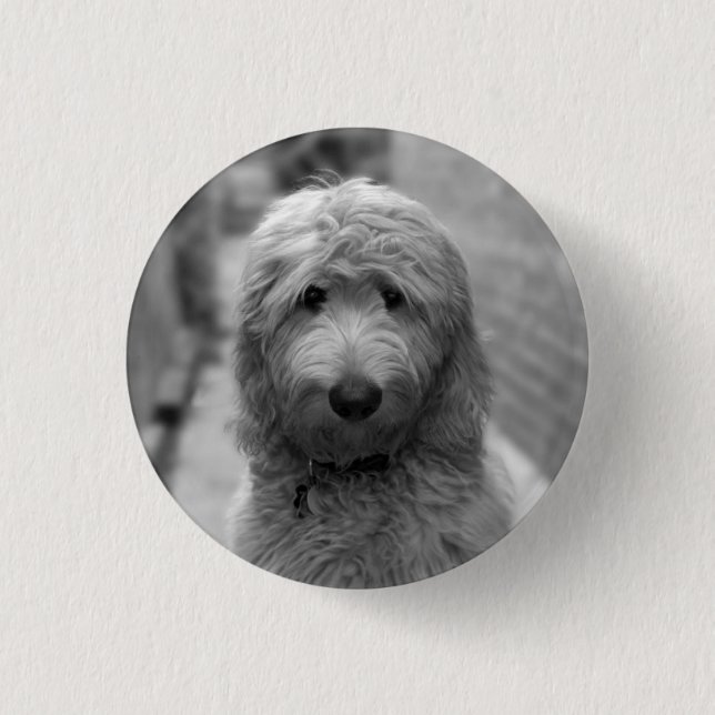 Goldendoodle Puppy In Backyard 3 Cm Round Badge (Front)
