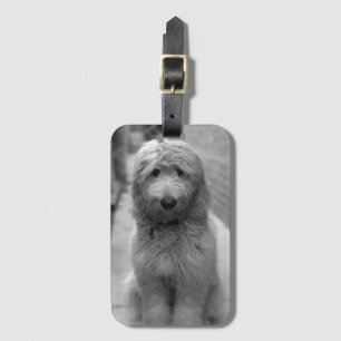 Goldendoodle Puppy In Backyard Luggage Tag