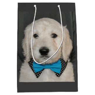 Goldendoodle puppy in bow tie gift bag