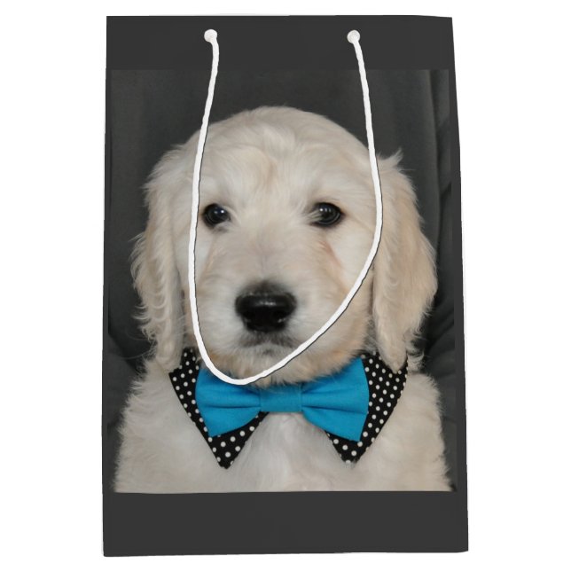 Goldendoodle puppy in bow tie gift bag (Front)
