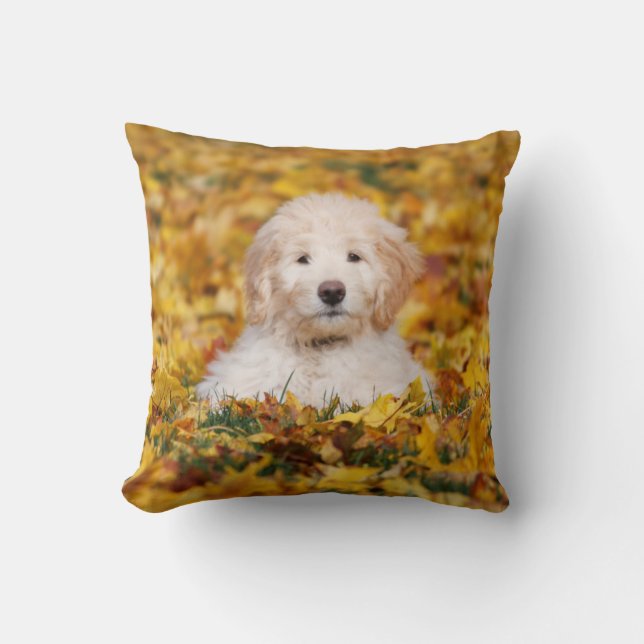 Goldendoodle Puppy In Fall Leaves Cushion (Front)