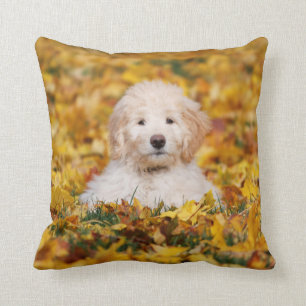 Goldendoodle Puppy In Fall Leaves Cushion