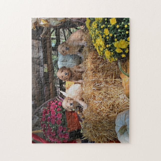 Goldendoodle puppy jigsaw puzzle (Vertical)