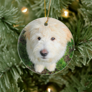 Goldendoodle Puppy Looking At Camera Ceramic Tree Decoration