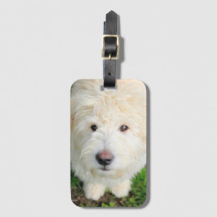 Goldendoodle Puppy Looking At Camera Luggage Tag