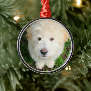 Goldendoodle Puppy Looking At Camera Metal Tree Decoration