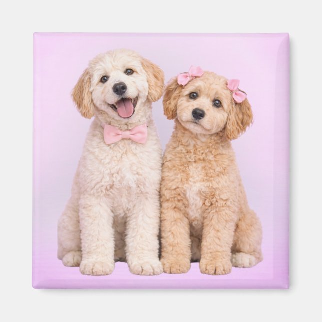 Goldendoodle Puppy Love Valentine Magnet (Front)